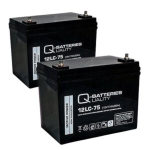 Akku-Satz 24V 77Ah statt 75Ah für Vermeiren Mercurius 4 LTD