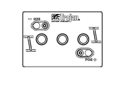 2 Stück Trojan T-105 | 6V 225Ah mit ELPT-Anschluss