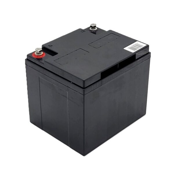 Akku-Satz 24V 50Ah für Swiss-Trac Rollstuhlzuggerät