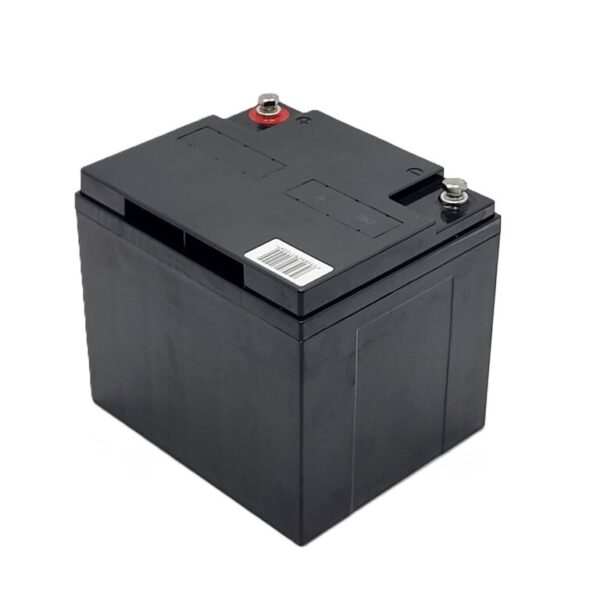 Akku-Satz 24V 50Ah für Swiss-Trac Rollstuhlzuggerät