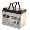 Akku-Satz 48V 39Ah für Shoprider 888 WA Rungholt