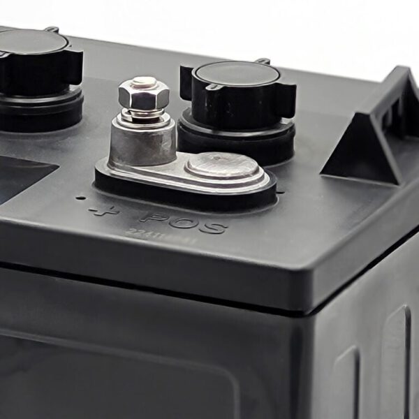 Batterie-Satz 48V 225Ah für E-Z-GO Shuttle 956E