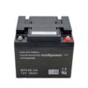 Akku-Satz 24V 50Ah für Swiss-Trac Rollstuhlzuggerät