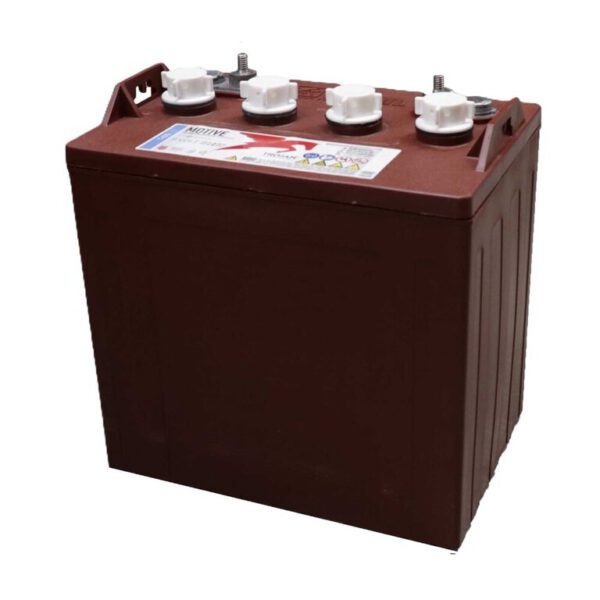 Akku-Satz 48V 170Ah Trojan T-875 mit ELPT-Anschluss