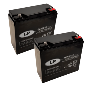 Zwei rechteckige, schwarze Batterien mit flachen Oberflächen stehen nebeneinander. Auf der Vorderseite befindet sich ein weißes Etikett mit technischen Angaben und einem kreisförmigen Logo. Die Oberseite jeder Batterie zeigt zwei unterschiedlich gefärbte Anschlussklemmen, eine rot und eine schwarz. Die Gehäuse wirken robust und sind für den stationären Einsatz ausgelegt.