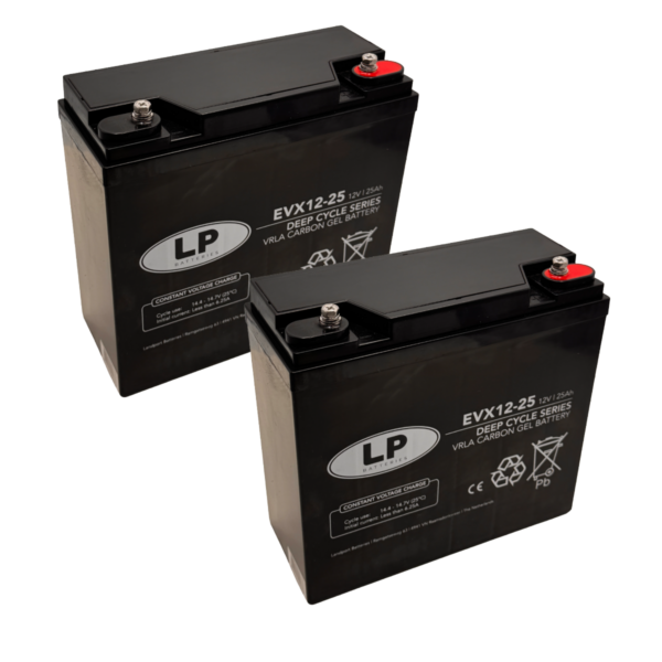 Zwei rechteckige, schwarze Batterien mit flachen Oberflächen stehen nebeneinander. Auf der Vorderseite befindet sich ein weißes Etikett mit technischen Angaben und einem kreisförmigen Logo. Die Oberseite jeder Batterie zeigt zwei unterschiedlich gefärbte Anschlussklemmen, eine rot und eine schwarz. Die Gehäuse wirken robust und sind für den stationären Einsatz ausgelegt.